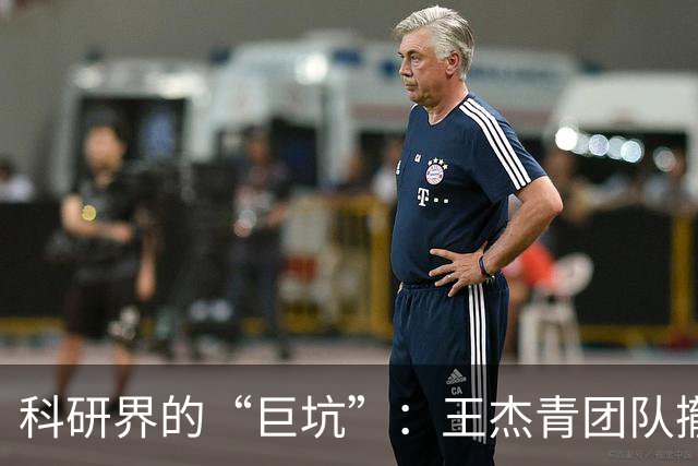科研界的“巨坑”：王杰青团队撤稿风波引发的思考